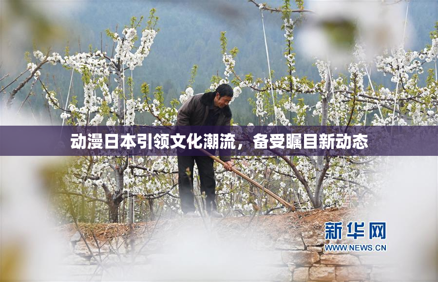 动漫日本引领文化潮流，备受瞩目新动态
