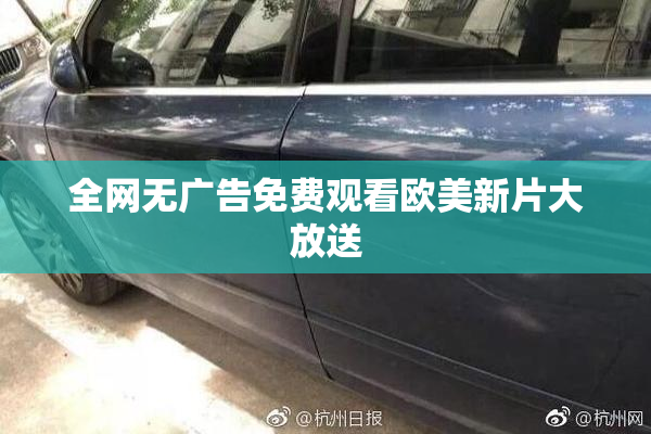 全网无广告免费观看欧美新片大放送