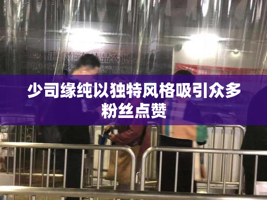 少司缘纯以独特风格吸引众多粉丝点赞
