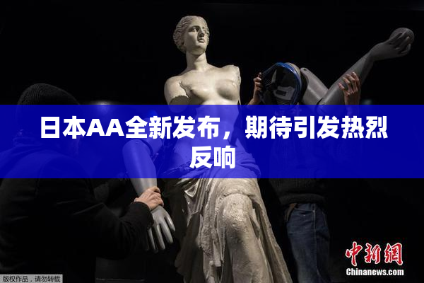 日本AA全新发布，期待引发热烈反响