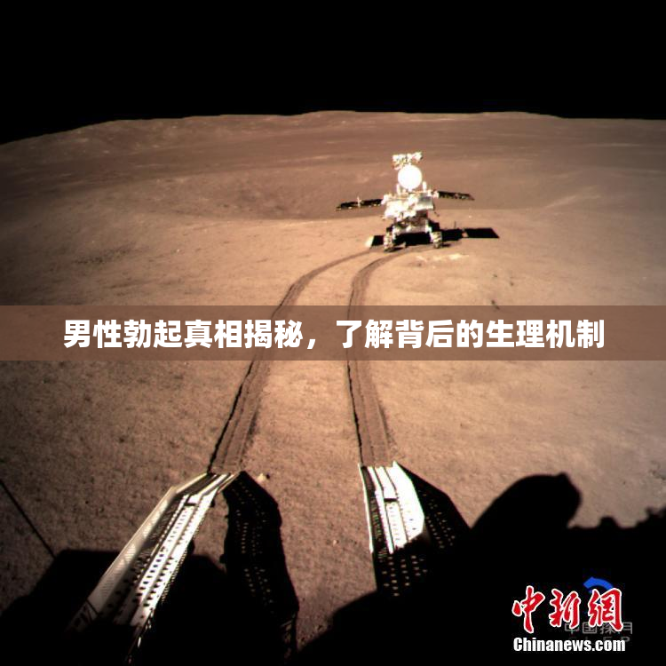 男性勃起真相揭秘，了解背后的生理机制