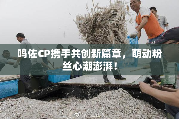 鸣佐CP携手共创新篇章，萌动粉丝心潮澎湃！