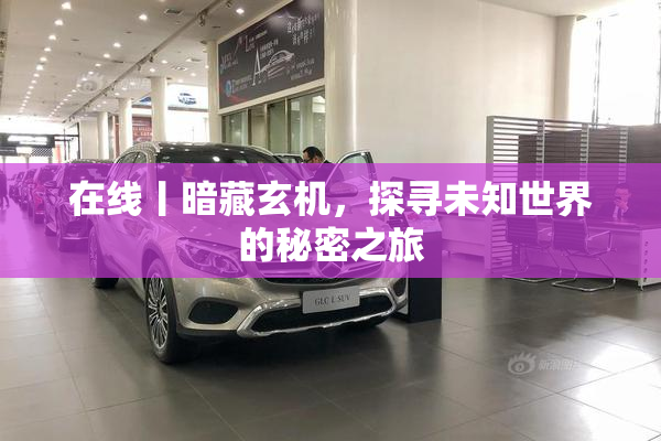 在线丨暗藏玄机，探寻未知世界的秘密之旅