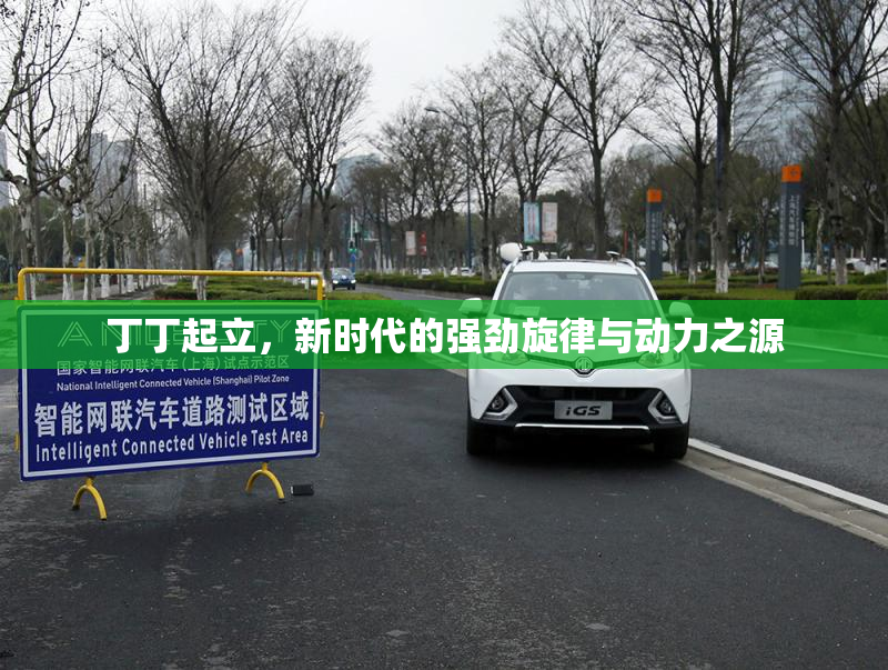 丁丁起立，新时代的强劲旋律与动力之源