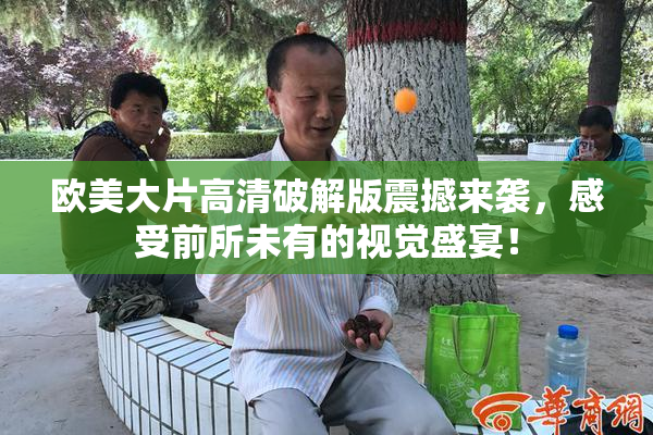 欧美大片高清破解版震撼来袭，感受前所未有的视觉盛宴！