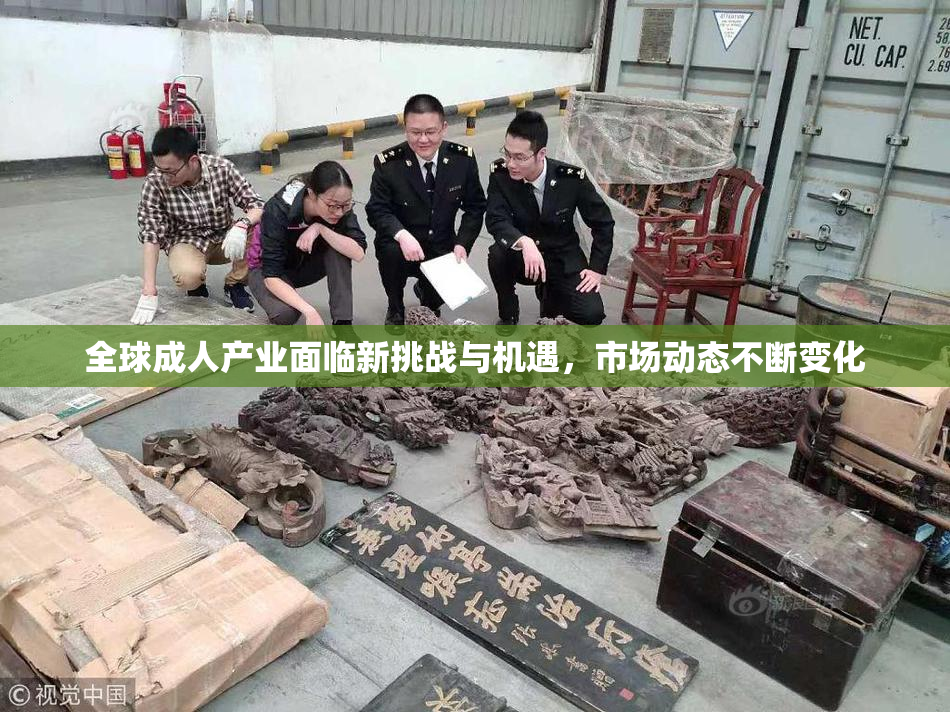 全球成人产业面临新挑战与机遇，市场动态不断变化