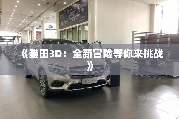 《雏田3D：全新冒险等你来挑战》