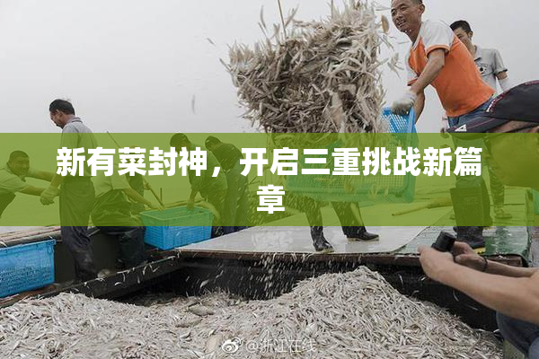 新有菜封神，开启三重挑战新篇章