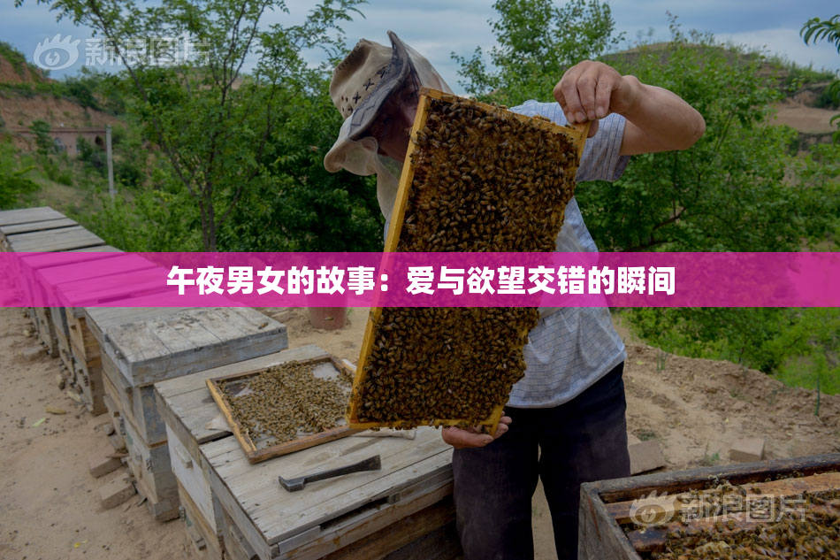 午夜男女的故事：爱与欲望交错的瞬间