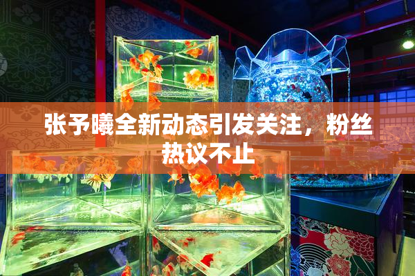 张予曦全新动态引发关注，粉丝热议不止