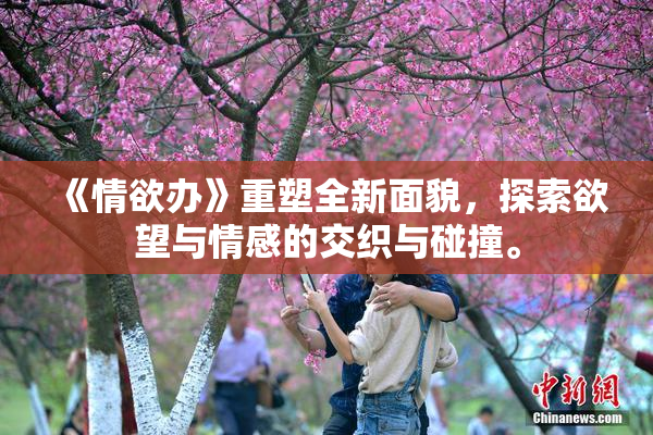 《情欲办》重塑全新面貌，探索欲望与情感的交织与碰撞。