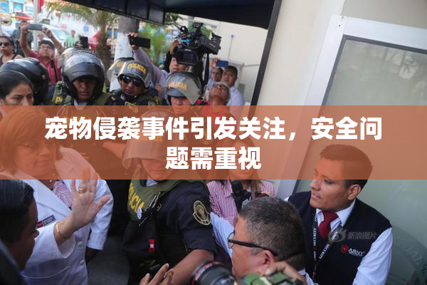 宠物侵袭事件引发关注，安全问题需重视