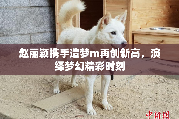 赵丽颖携手造梦m再创新高，演绎梦幻精彩时刻
