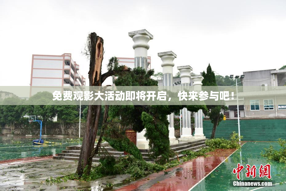 免费观影大活动即将开启，快来参与吧！