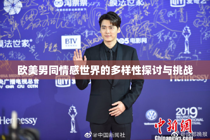 欧美男同情感世界的多样性探讨与挑战