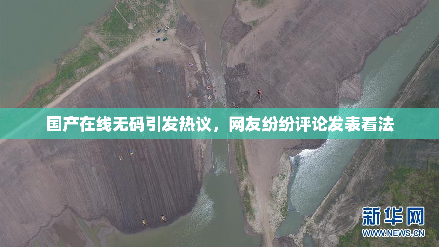 国产在线无码引发热议，网友纷纷评论发表看法