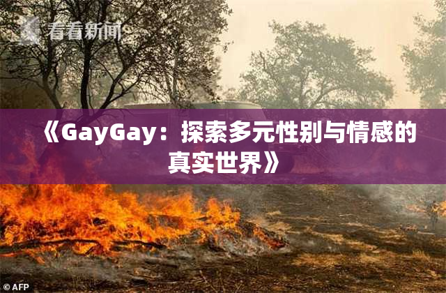 《GayGay：探索多元性别与情感的真实世界》