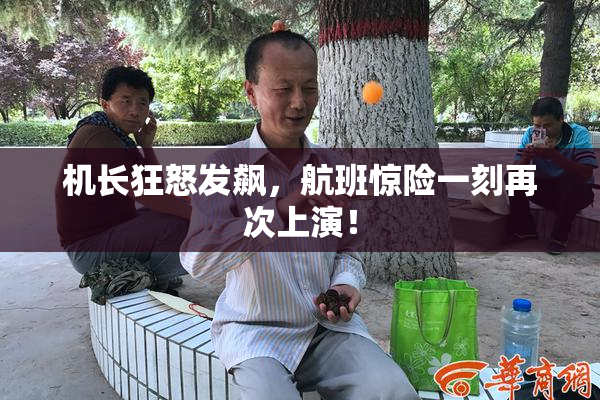 机长狂怒发飙，航班惊险一刻再次上演！