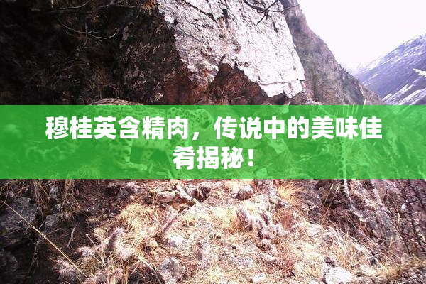 穆桂英含精肉，传说中的美味佳肴揭秘！