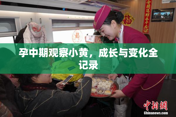 孕中期观察小黄，成长与变化全记录