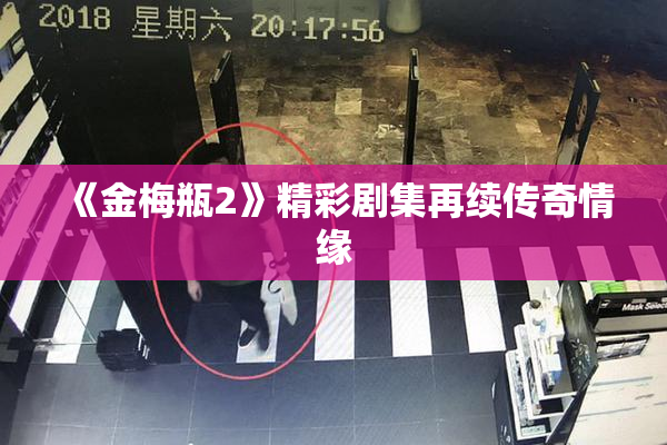 《金梅瓶2》精彩剧集再续传奇情缘