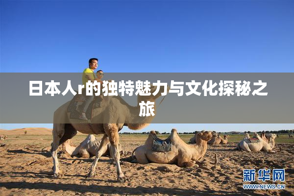 日本人r的独特魅力与文化探秘之旅