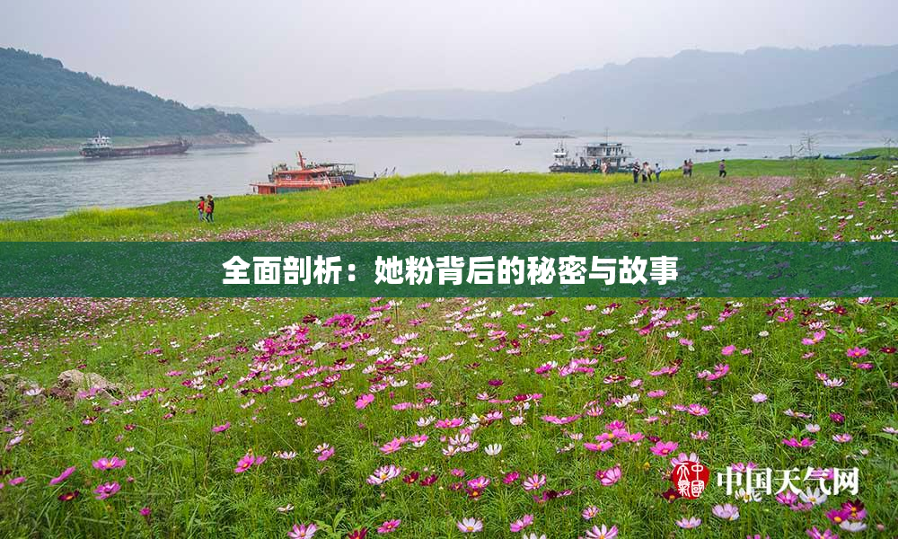 全面剖析：她粉背后的秘密与故事
