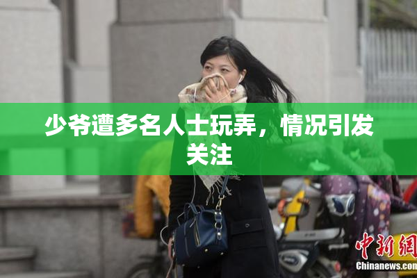 少爷遭多名人士玩弄，情况引发关注