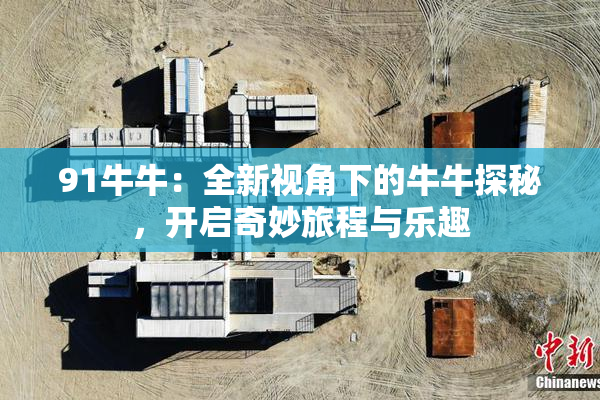 91牛牛：全新视角下的牛牛探秘，开启奇妙旅程与乐趣