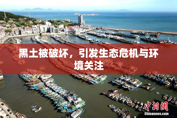 黑土被破坏，引发生态危机与环境关注