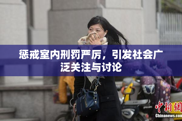 惩戒室内刑罚严厉，引发社会广泛关注与讨论