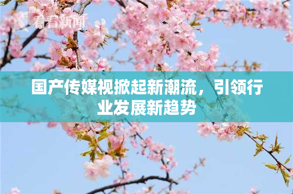 国产传媒视掀起新潮流，引领行业发展新趋势