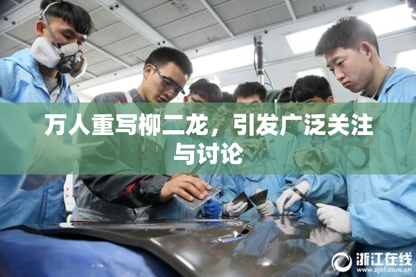 万人重写柳二龙，引发广泛关注与讨论