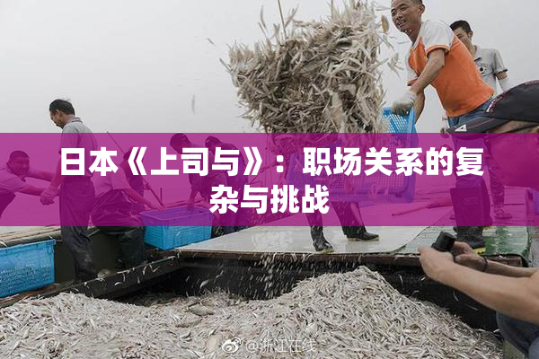 日本《上司与》：职场关系的复杂与挑战