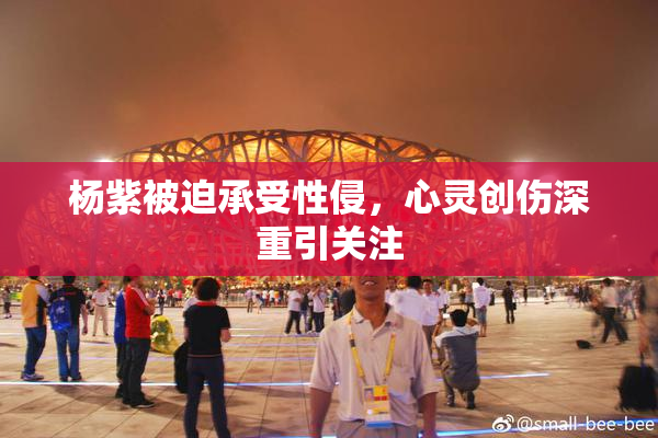 杨紫被迫承受性侵，心灵创伤深重引关注