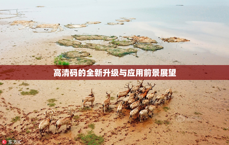 高清码的全新升级与应用前景展望
