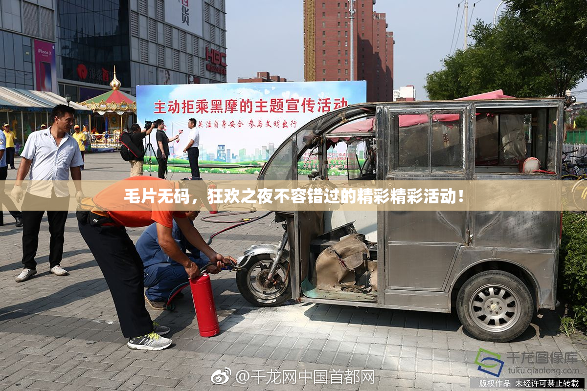毛片无码，狂欢之夜不容错过的精彩精彩活动！
