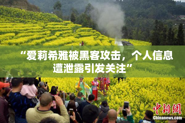 “爱莉希雅被黑客攻击，个人信息遭泄露引发关注”