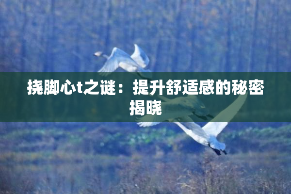 挠脚心t之谜：提升舒适感的秘密揭晓