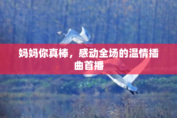 妈妈你真棒，感动全场的温情插曲首播