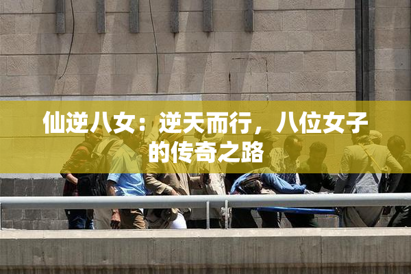 仙逆八女：逆天而行，八位女子的传奇之路