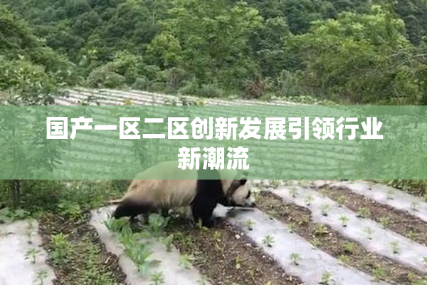 国产一区二区创新发展引领行业新潮流