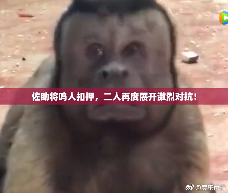 佐助将鸣人扣押，二人再度展开激烈对抗！