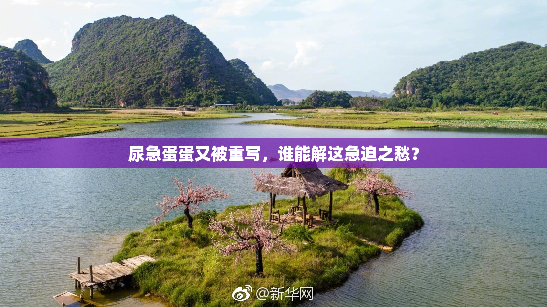 尿急蛋蛋又被重写，谁能解这急迫之愁？