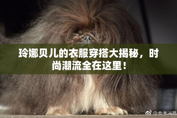 玲娜贝儿的衣服穿搭大揭秘，时尚潮流全在这里！