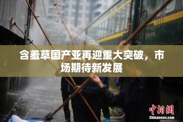 含羞草国产亚再迎重大突破，市场期待新发展