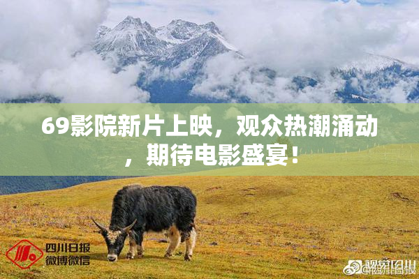69影院新片上映，观众热潮涌动，期待电影盛宴！