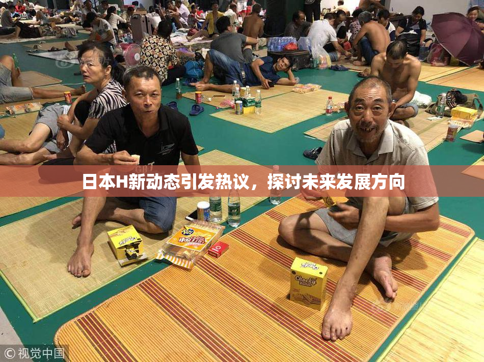 日本H新动态引发热议，探讨未来发展方向