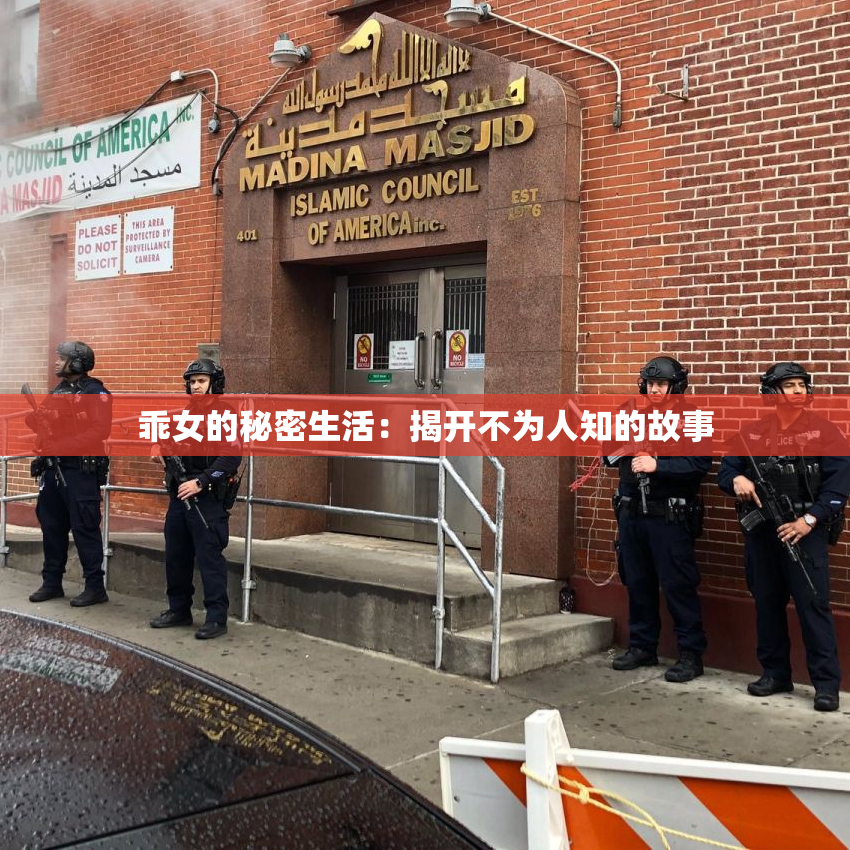 乖女的秘密生活：揭开不为人知的故事