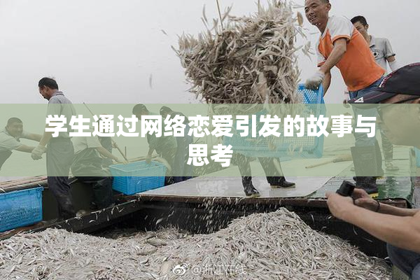 学生通过网络恋爱引发的故事与思考